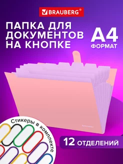 Папка для документов А4 на кнопке канцелярская 12 отд