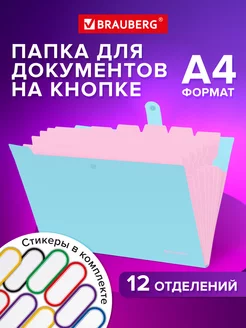 Папка для документов А4 на кнопке канцелярская 12 отд