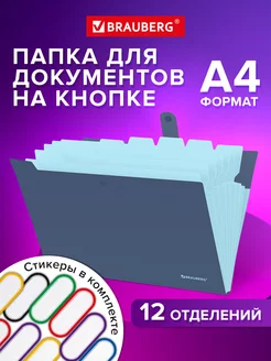 Папка для документов А4 на кнопке канцелярская 12 отд