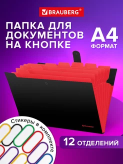 Папка для документов А4 на кнопке канцелярская 12 отд