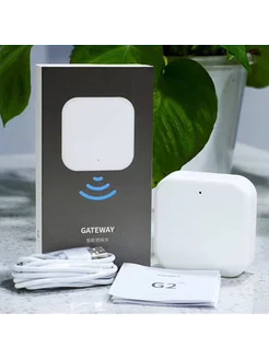 Шлюз для "умного" дверного замка TTlock Gateway G2 Wi-Fi