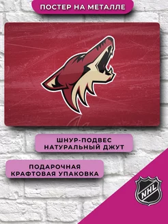 Подарок хоккеисту NHL