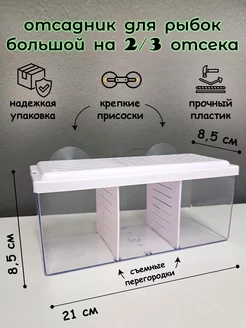 Отсадник для петушка мини аквариум