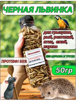 Черная львинка, лакомство для крыс,ежей,черепах, 50грамм