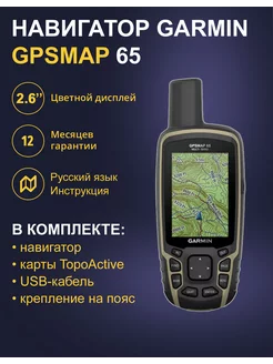 Туристический Навигатор GPSMAP 65 (010-02451-01)