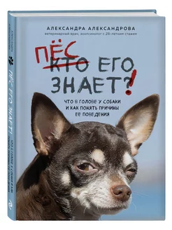 Пес его знает! Что в голове у собаки, и как понять причины е