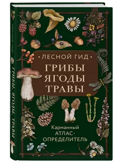 Лесной гид грибы, ягоды, травы. Карманный атлас-определител