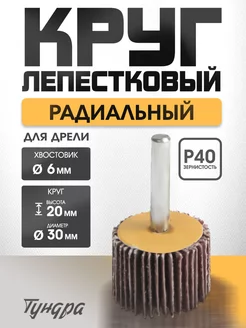 Круг лепестковый 30х20х6мм, Р40