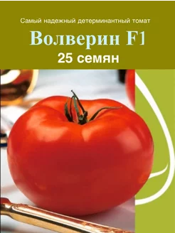 Семена Томат ВОЛВЕРИН F1 WOLVERIN F1 Syngenta (25 семян)